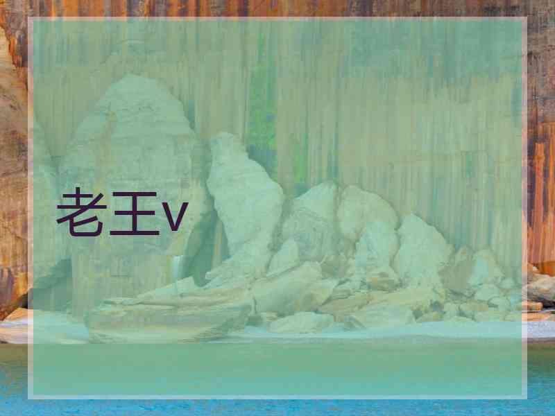 老王v 老王v